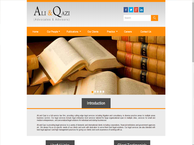 professional legal services